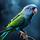 Alarming Parakeet