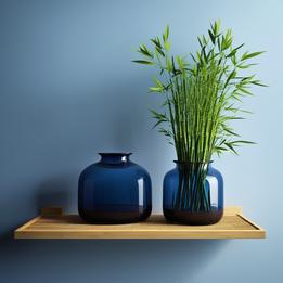 Bamboo Shelf dream symbolism visualization