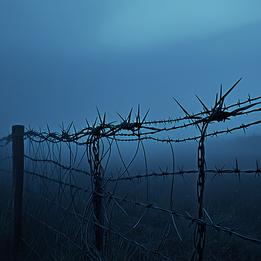 Barbed Wire