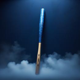 Baseball Bat