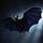 Bat