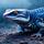 Blue-tongued Skink