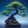 Bonsai Tree