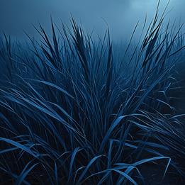 Coarse Grain dream symbolism visualization