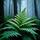 Dewy Fern