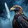 Eagle Feather