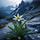 Edelweiss Peak
