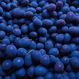 Fallen Grapes dream symbolism visualization