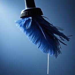 Feather Duster dream symbolism visualization
