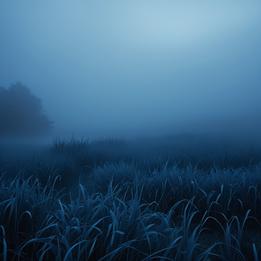 Foggy dream symbolism visualization