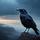 Foreboding Corvid