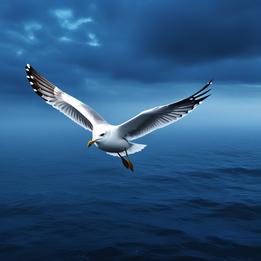 Glimmering Seagull dream symbolism visualization