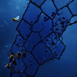 Honeycomb dream symbolism visualization