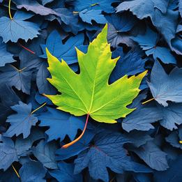 Leaf Pile dream symbolism visualization