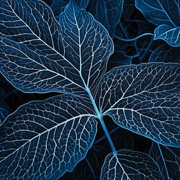 Leaf Veins dream symbolism visualization
