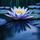 Mirrored Water Lily