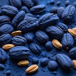 Mixed Nuts dream symbolism visualization