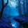 Moonlit Glade