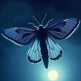 Moth Light dream symbolism visualization