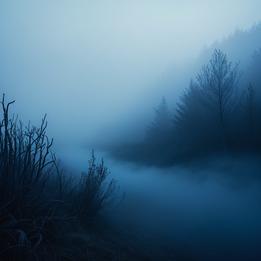 Mystical Fog