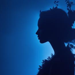 Mystical Silhouette dream symbolism visualization