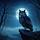 Night Owl's Call