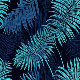 Palm Leaf Fan dream symbolism visualization