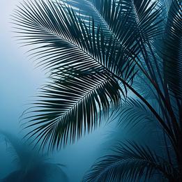 Palm Leaves dream symbolism visualization