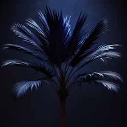 Palm dream symbolism visualization