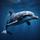 Playful Dolphin