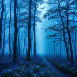 Rustling Woodwinds dream symbolism visualization