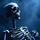 Skeleton