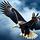 Soaring Eagle