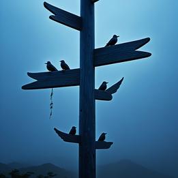 Sotdae Pole dream symbolism visualization