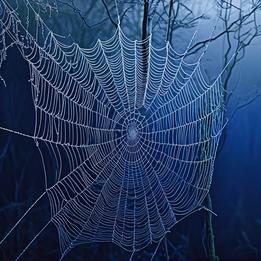 Spider Web Loom dream symbolism visualization
