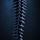 Spine