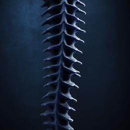 Spine dream symbolism visualization