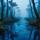 Swamp Land