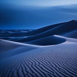 Timeless Sand Dunes
