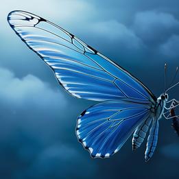 Transparent Wing dream symbolism visualization