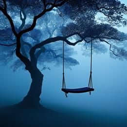 Tree Swing