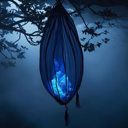 Unfinished Cocoon dream symbolism visualization