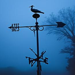 Weather Vane dream symbolism visualization