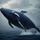 Whale